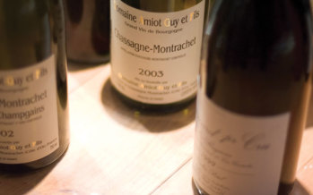 Understanding Burgundy: A Wine Primer