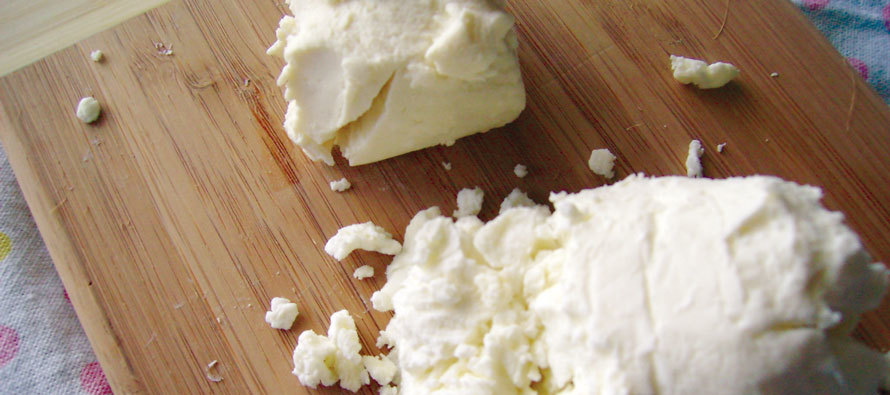 What is Bûcheron? France's Versatile Goat Cheese - Cheese Origin