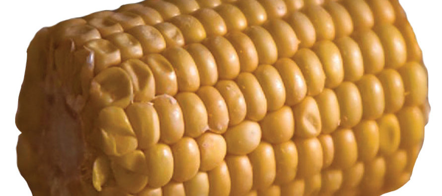 The Great Corn Debate