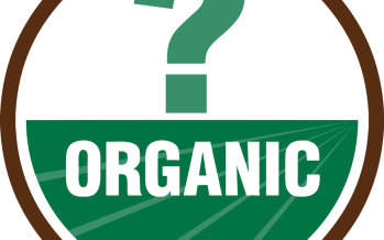 Organic: What Does It All Mean