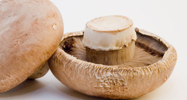Mushrooms: Nature’s Wonder Food