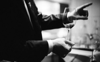 The Sommelier: Your Tour Guide to the World of Wine