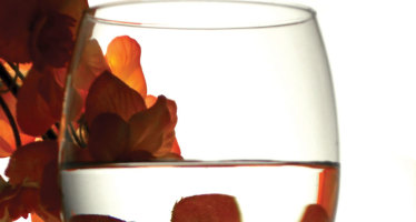 Rieslings Shine in Wine-Food Parings