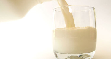 Raw Milk: Fighting for the Right to Choose
