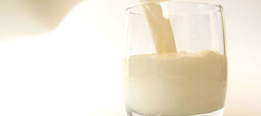 Raw Milk: Fighting for the Right to Choose